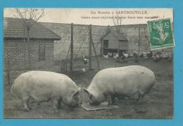 CPA La Ferme De SARTROUVILLE Le Repas Des Cochons 78 - Sartrouville