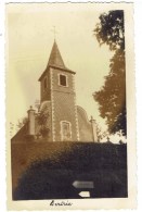 BERTREE - Hannut - L' Eglise - Carte Photo - Hannuit