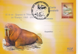 50115- FRAM SHIP ARCTIC EXPEDITION, POLAR BEAR, WALRUS, POSTCARD STATIONERY, 2003, ROMANIA - Spedizioni Artiche