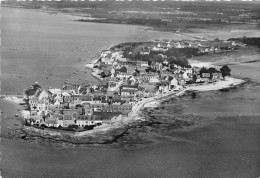 29-ILE TUDY-VUE AERIENNE - Ile Tudy