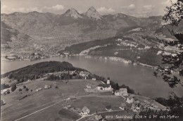 Suisse - Seelisberg ü M. Mit Mythen - Vue Panoramique - Seelisberg