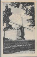 CPA Belgique Belgie Moulin à Vent Circulé Moll - Andere & Zonder Classificatie