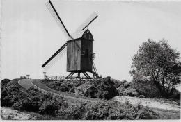 CPA Belgique Belgie Moulin à Vent Non Circulé Kust - Andere & Zonder Classificatie