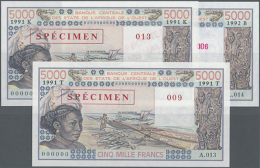 West African States: Set Of 3 Different SPECIMEN Notes 5000 Francs 1991 With Issues For Benin (B), Senegal (K) And... - West African States