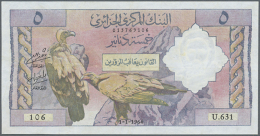 Algeria: 5 Dinars 1964 P. 122, Pressed But Without Holes Or Tears, Still Crispness In Paper And Original Colors,... - Algeria