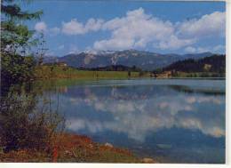 WINDISCHGARSTEN - Gleinkersee Gegen Sengsengebirge - Windischgarsten