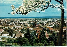 GERMANY-BAD BERGZABERN-KNEIPPHEILBAD UND HEILKLIMATISCHER KURORT - Bad Bergzabern