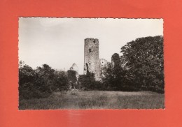 * CPSM Photo..dépt 91..VILLECONIN  :  Ruines Du Château De La Grange  :  Voir Les 2 Scans - Other Municipalities