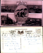 3672a)cartolina- Pubblicitaria -valentine E Sons Foto Originale - Angus