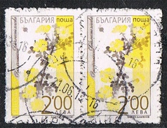 2006 - BULGARIA - FIORI / FLOWERS. USATO - Gebruikt