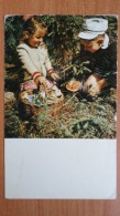 PICKING MUSHROOMS - OLD Soviet PC 1969 -  Mushroom - Champignon - Funghi