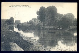 Cpa Du 44 Le Cellier  Les îles Et La Loire Devant La Gare   JIP20 - Le Cellier