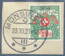 Alpenrosen 13A, 20 Rp.mehrfarbig  MÜNSINGEN  (Fehldatum 1921) - Vrijstelling Van Portkosten