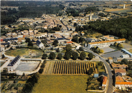 79-LA MOTHE-SAINT-HERAY- VUE GENERALE AERIENNE AU PREMIER PLAN A GAUCHE L'ORANGERIE - La Mothe Saint Heray