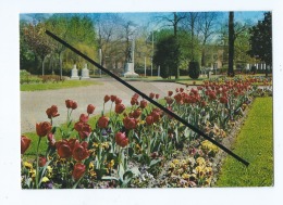 CPM -  Haubourdin  - Le Jardin Public - Haubourdin