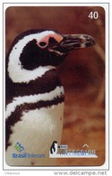 Pingouin Penguin Manchot Télécarte Brésil Phonecard  (R 184) - Brasilien