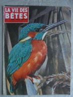 Ancien - Revue La Vie Des Bêtes Et L'ami Des Bêtes - N° 45 Avril 1962 - - Animals