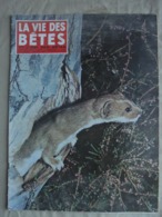 Ancien - Revue La Vie Des Bêtes Et L'ami Des Bêtes - N° 43 Février 1962 - - Animales
