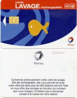 @+ Carte De Lavage TOTAL. Petite Puce - N° Gris - Colada De Coche