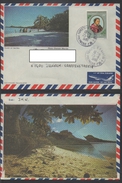 POLYNESIE FRANCAISE / 1980 - 2 LETTRES AVION ILLUSTREES / 2 IMAGES (ref 5187) - Storia Postale