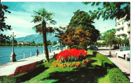 Locarno (Tessin, Svizzera) Muralto, Lungolago E Giardini, Jardins, Gardens - Muralto