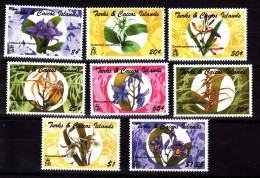 1995 Turks & Caicos Flowers Orchids Complete Set Of 8 MNH - Turks & Caicos