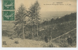 CHENOVE - Les Cèdres De L'Escargotière Thabard - Chenove