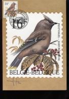 Belgie Buzin Vogels Birds 2534 R Maximumkaart 16fr Dinant - 1991-2000