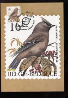 Belgie Buzin Vogels Birds 2534 R Maximumkaart 16fr Essen Germany - 1991-2000