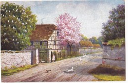 BAUMGARTEN  .Maisons Et Arbres En Fleurs. - Baumgarten, F.