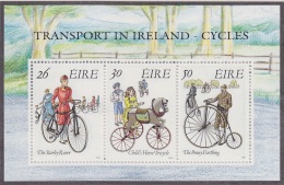 Ireland 1991 Transport In Ireland - Cycles M/s ** Mnh (F5767) - Blokken & Velletjes