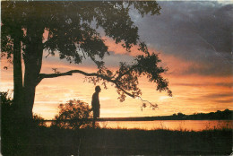Zambezi River, Zambia Postcard Unposted - Zambie