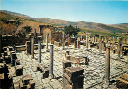 Roman Ruins, El Djamila, Algeria Postcard Unposted - Altre Città
