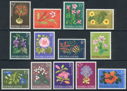 Sc.227/239, 1963 Flowers, Complete Set Of 13 Unmounted Values, Excellent Quality. - Sierra Leone (1961-...)