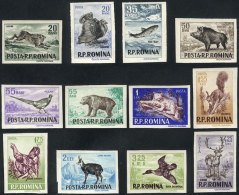 Yvert 1488/99, 1956 Animals, Complete Set Of 12 Imperforate Values, VF Quality, Catalog Value Euros 80. - Other & Unclassified