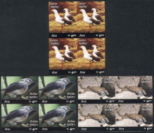 Sc.1520/1522, 2006 Birds, Complete Set Of 3 Values In IMPERFORATE BLOCKS OF 4, Excellent Quality, Rare! - Perú