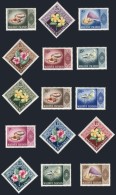 Sc.172/186, 1966 Birds, Flowers And Sea Shells, Complete Set Of 15 Unmounted Values, Excellent Quality, Catalog... - Malediven (1965-...)