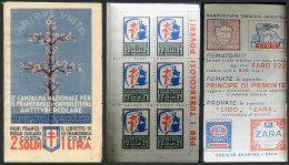 Booklet With 10 Cinderellas Of The 1931 Campaign Against Tuberculosis, With Several Pages With Interesting... - Ohne Zuordnung