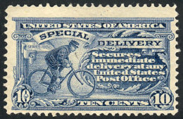 Sc.E6, 1902 10c. Ultramarine, Double Line Watermark, VF Quality, Catalog Value US$230. - Special Delivery, Registration & Certified