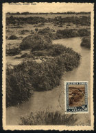 Maximum Card Of OC/1938: Albert National Park, Rutshuru River, VF - Altri & Non Classificati