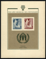 Year 1960, World Refugee Year, S.sheet Printed On Card Without Gum, Minor Defect (wrinkles) At Lower Right, Else... - Cile