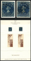 Yv.9 (Sc.12), Page Of An Old Specialized Collection With 2 Used Examples, With Retouches, Very Nice! - Cile