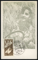 Topic Agriculture, Wheat, Maximum Card Of AU/1954, With Special Postmark 'Festa Nacional Do Trigo - Carazinho', VF - Maximum Cards