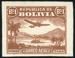 Sc.C32, ESSAY Of 1B. With The Vignette Of The 2B. Value (airplane And River, Ship, Mountains), Mint With Gum,... - Bolivie