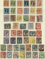 Collection On Album Pages With A Good Number Of Interesting Stamps, General Quality Is Fine To Very Fine. Scott... - Neufs