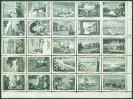 Complete Set Of 25 Cinderellas With Views Of Different Tourist Destinations, Never Hinged (few With Light Stain... - Other & Unclassified