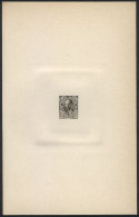 Year 1889, Sudamericana Issue, Die Proof Of An UNISSUED Value Of 20c. Roca In Grayish Black, 13 X 20.50 Cm, Very... - Sonstige & Ohne Zuordnung