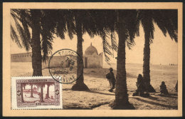 TOUGGOURT: Tombs Of The Kings, Maximum Card Of 9/JUN/1953, VF Quality - Algeria (1962-...)