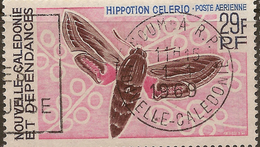 NEW CALEDONIA 1967 29f Moth SG 435 U #WO142 - Used Stamps