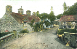 GWYNEDD - DOLGELLY - PANDY-RO-DYN Gwy554 - Merionethshire